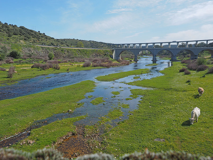 2e en 3e brug over de Almonte, omgeving Jacaicejo, Puente de la Nacional V en Viaducto de Jaraicejo (1995)