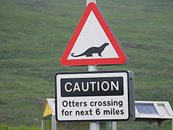 Waarschuwingsbordje overstekende otters