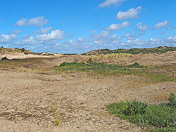 Waverhoek
