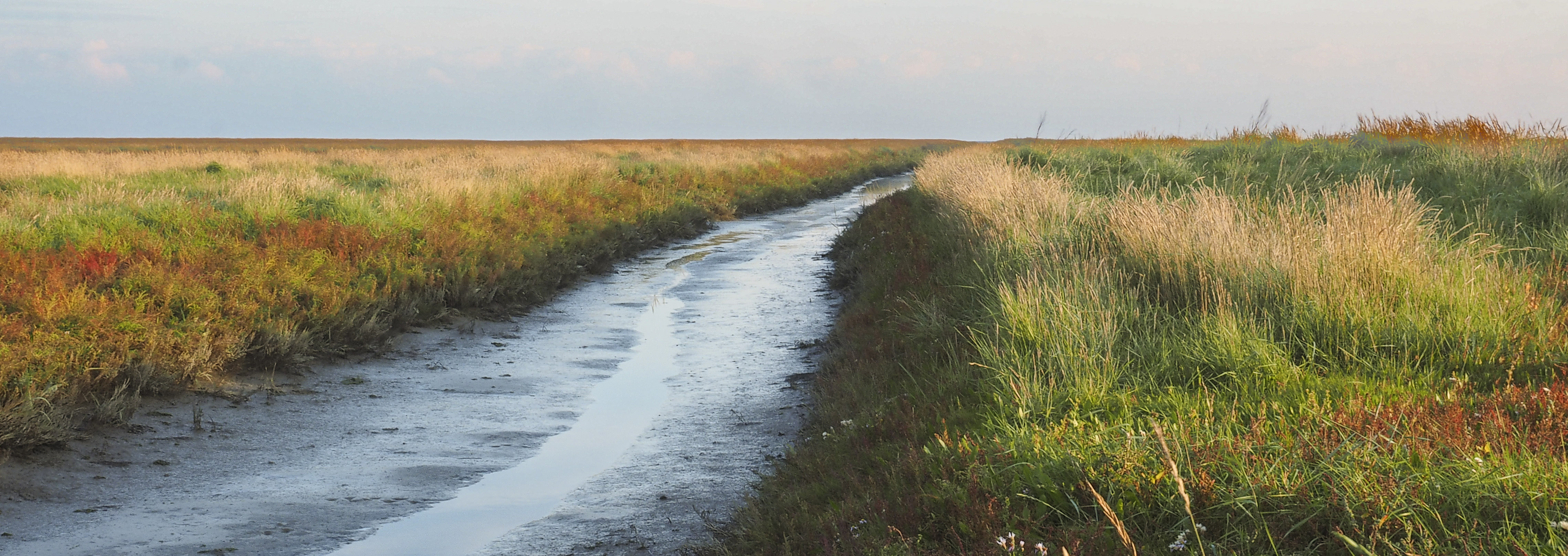 Geul doorsnijdt de kwelder Geul doorsnijdt de kwelder