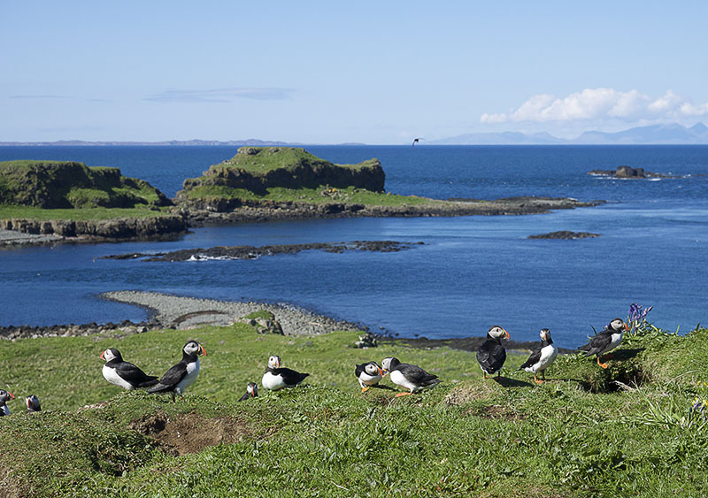 Lunga view