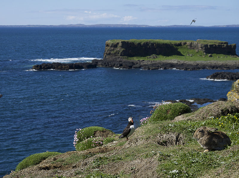 Lunga view