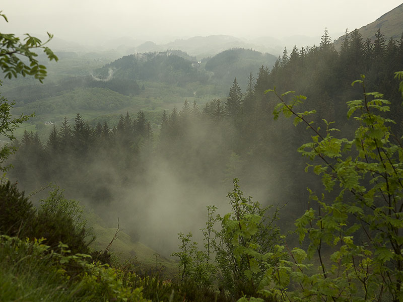 Lime Craig Trail Queen Elizabeth Forest Park - optrekkende mist