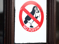 No puffin bordje