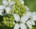 look_zonder_look 